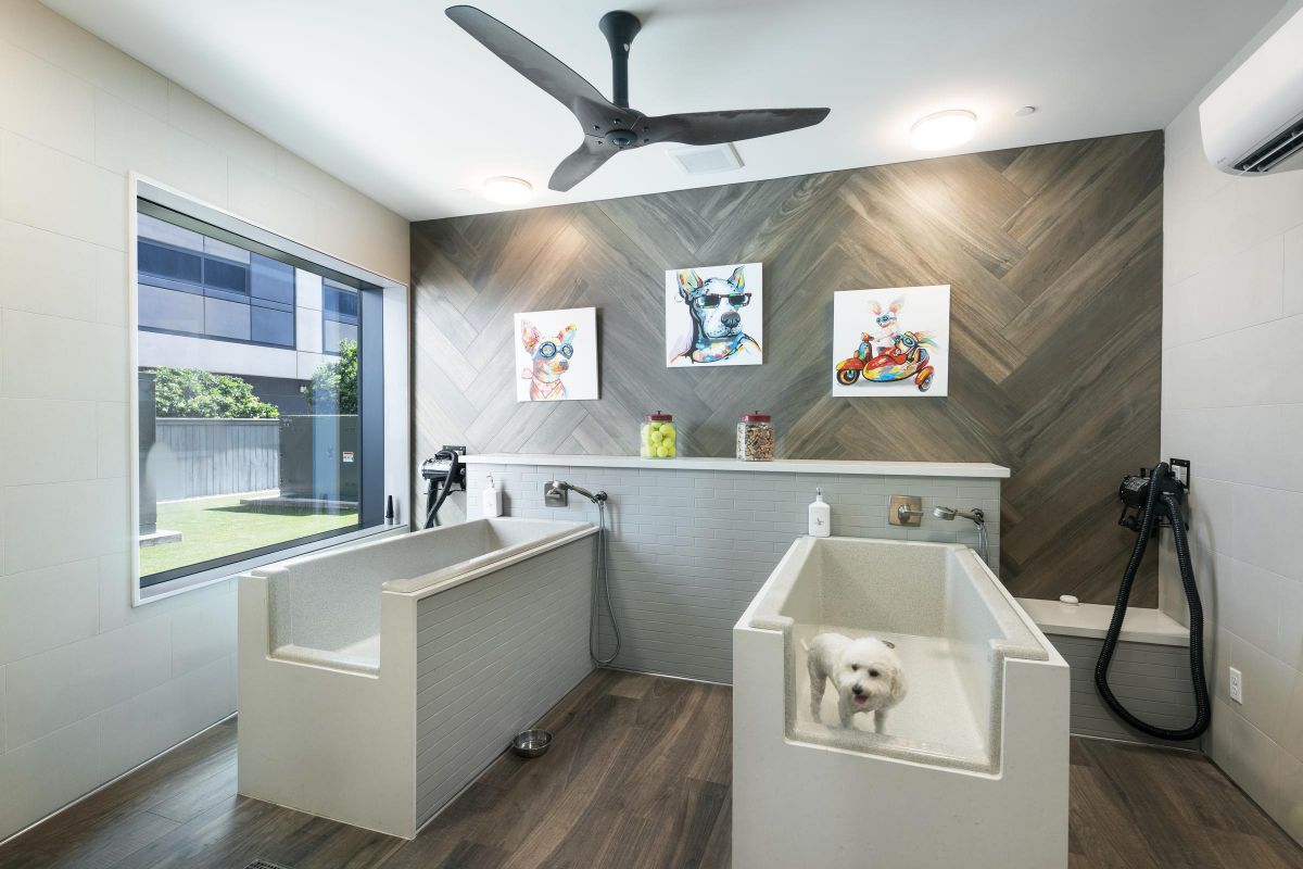 Pet grooming room with two wash stations, artwork of animals, and a white dog in one station. Ceiling fan above.